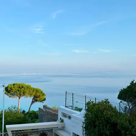 Acquamarina Del Faro - Anna Maria *